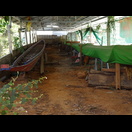 Nicht die ersten Drachenboote, die wir in einem Tempel sehen